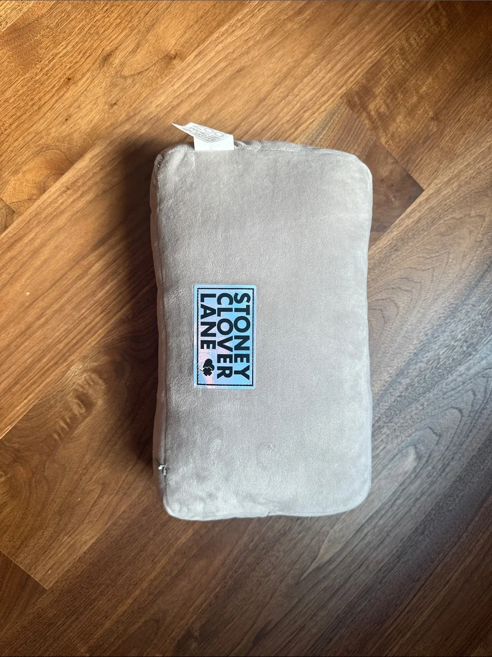Stoney Clover Lane Iridescent Blue Accent Pillow with Gray Trim